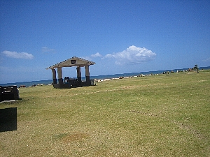 0421 beach.jpg